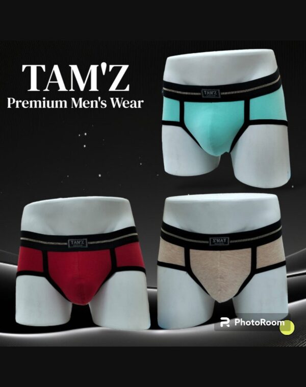 Trunk Red, Mint & Beige- Set (3 Pcs)
