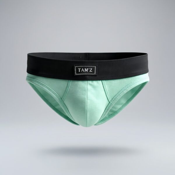 classic premium men’s briefs with modern, tailored fit