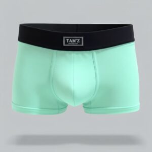 TAMZ Mint Boxer for Men β mint color boxer underwear with black waistband and modern fit