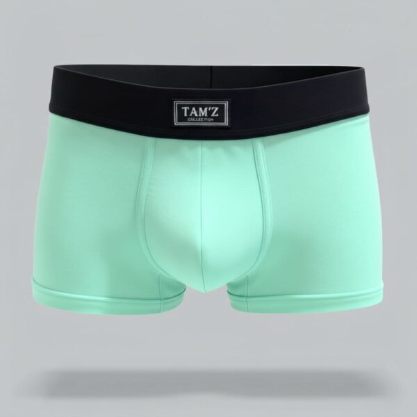 TAMZ Mint Boxer for Men — mint color boxer underwear with black waistband and modern fit
